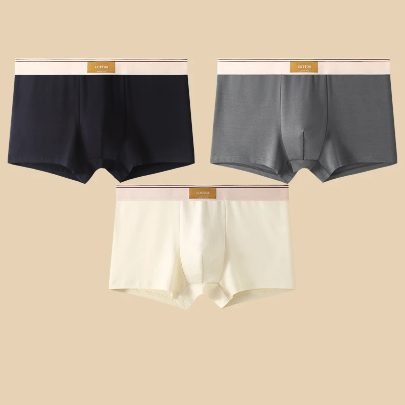 Cotton Theory Boxer Brief Set