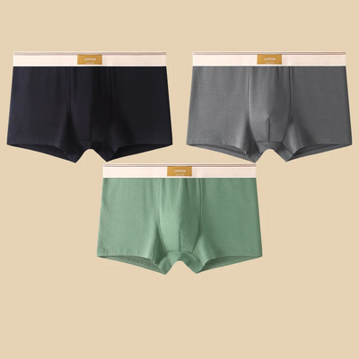 Cotton Theory Boxer Brief Set