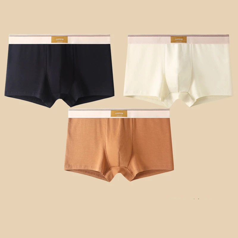 Cotton Theory Boxer Brief Set