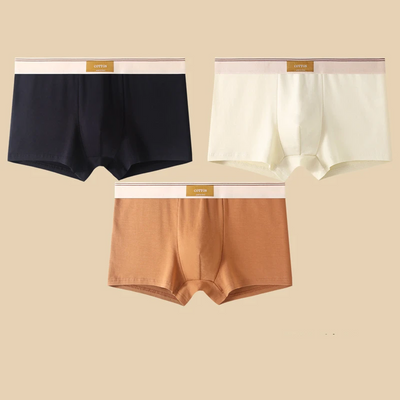 Cotton Theory Boxer Brief Set