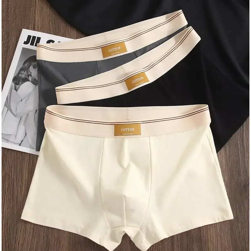 Cotton Theory Boxer Brief Set